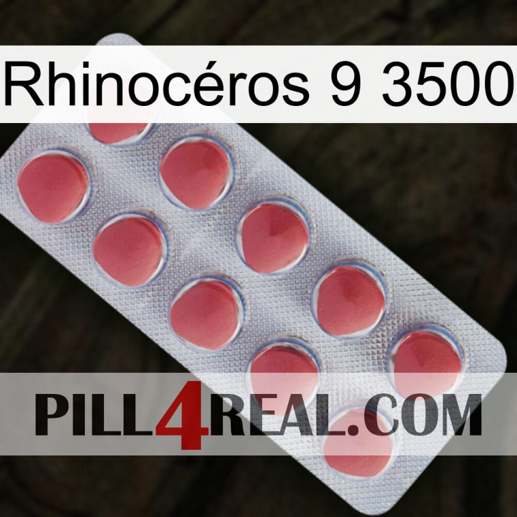Rhinocéros 9 3500 18